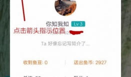 91看直播钓鱼,揭秘网络直播新潮流
